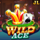 Wild Ace speed x slot